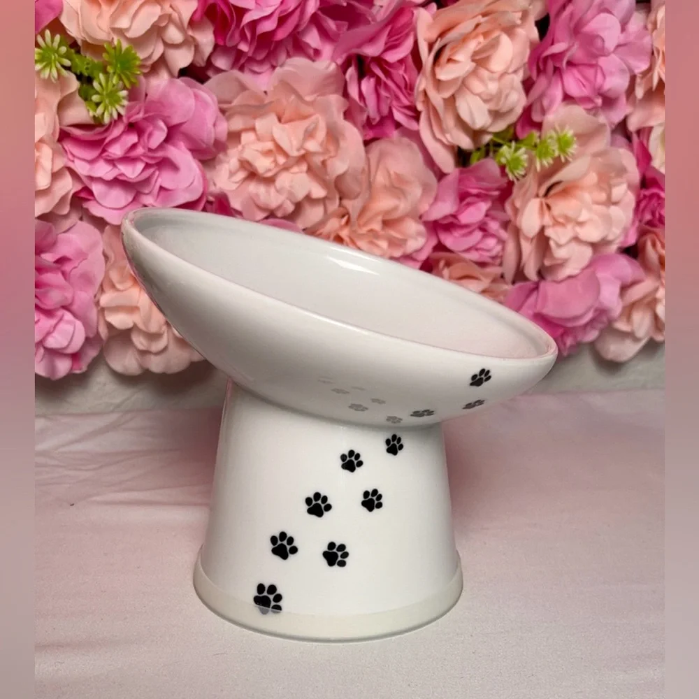 Necoichi Raised Ceramic Cat Bowl Extra Wide Tilted